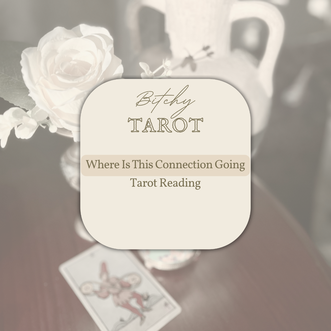 Where Is This Connection Going - Tarot Reading