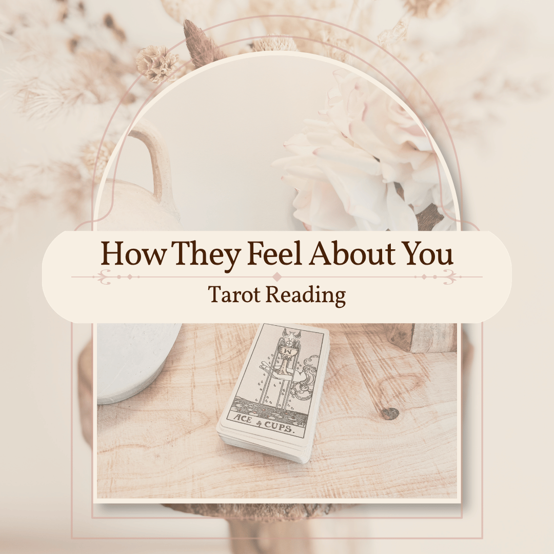 How They Feel About You- Tarot Reading