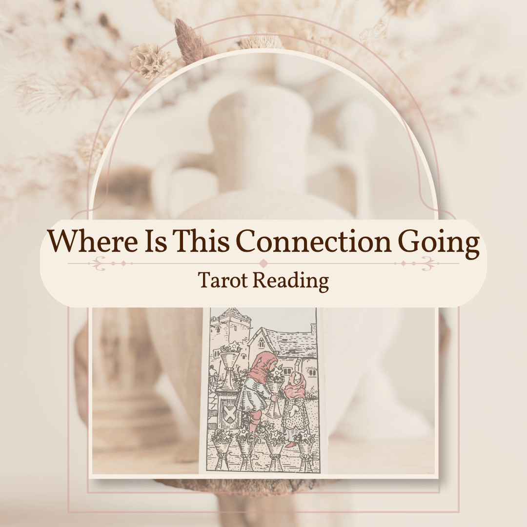 Where Is This Connection Going - Tarot Reading