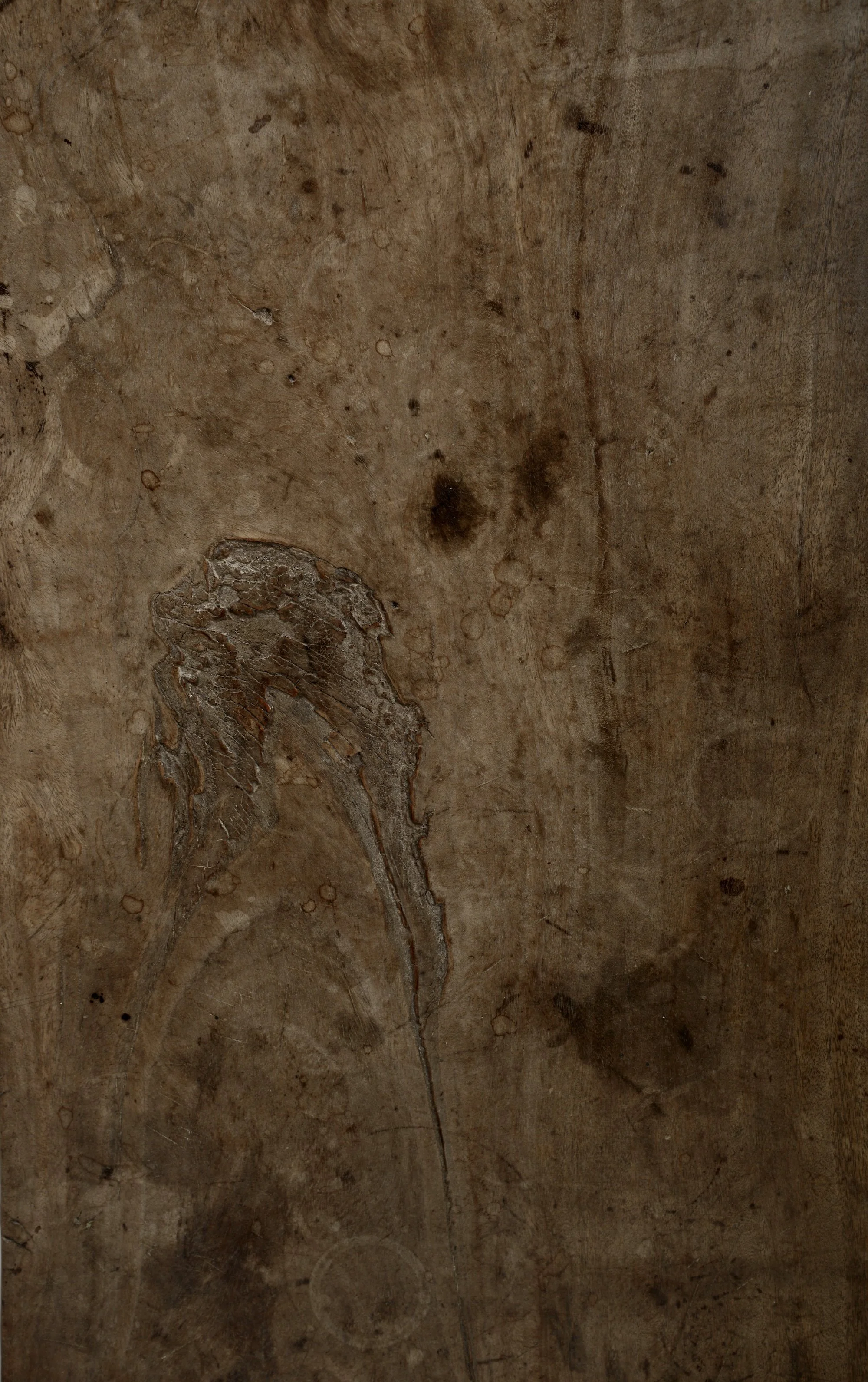 DSC_5566.jpeg