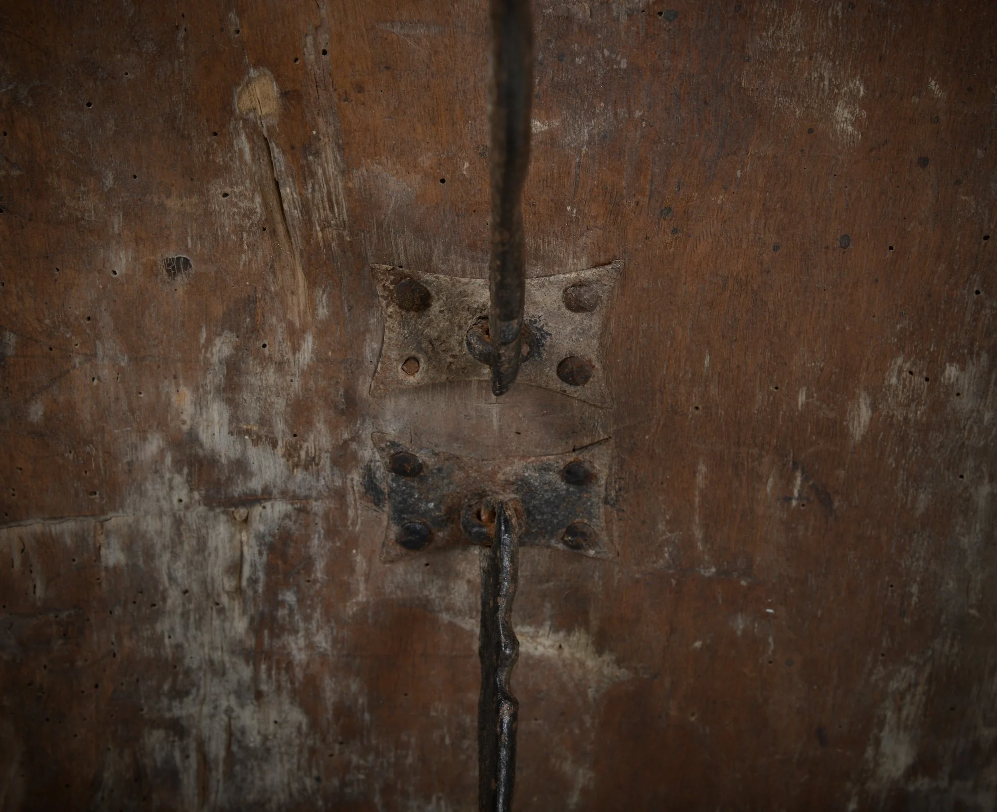 DSC_5712.jpeg