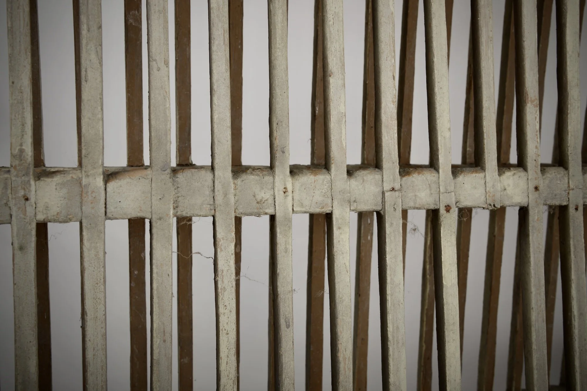 DSC_5574.jpeg