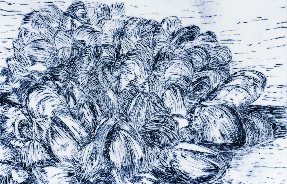 Kate Mee mylar mussel.png