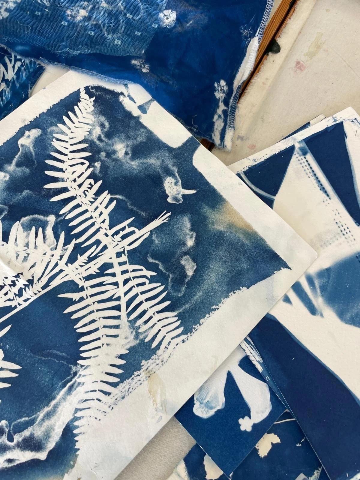 Cyanotype Half Day: Thursday