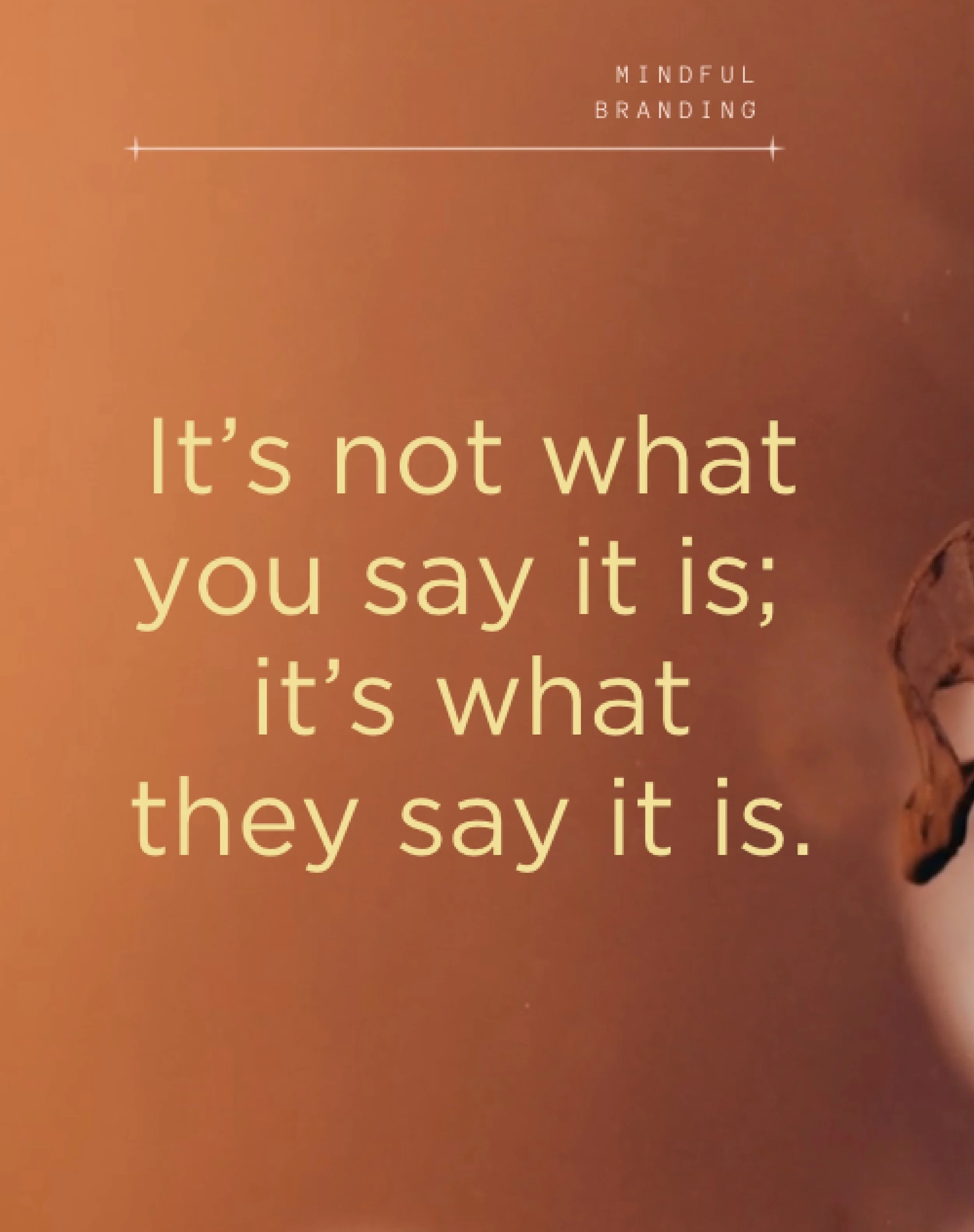 IT’S NOT WHAT YOU SAY IT IS, IT IS WHAT THEY SAY IT IS