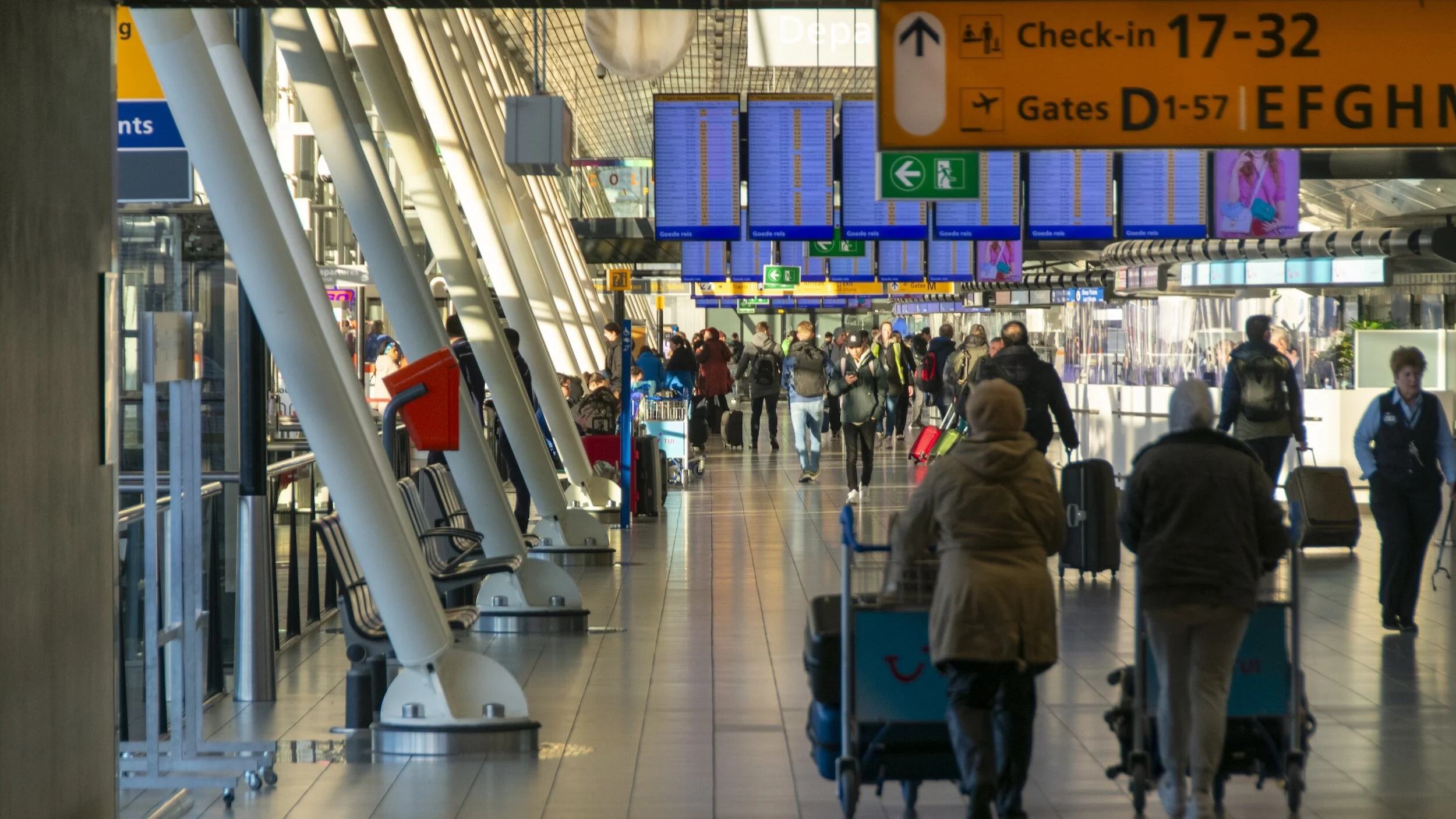 Airport Arrival Survival: A Guide for Weary Travelers