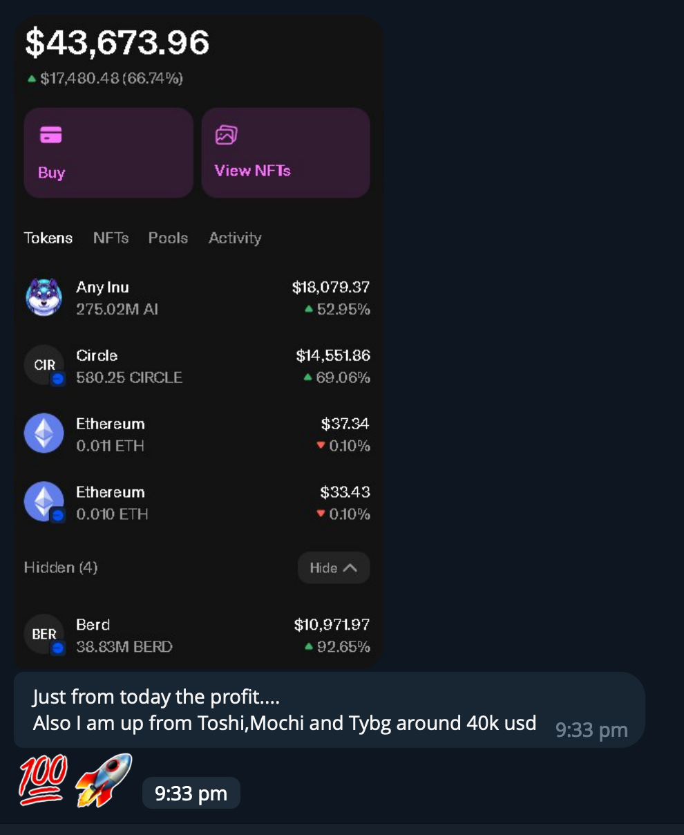 Screenshot of a cryptocurrency portfolio showing total balance of $43,673.96, with options to buy or view NFTs. The portfolio includes tokens such as Any Inu, Circle, Ethereum, and Berd, with their respective balances and percentage changes. A chat m