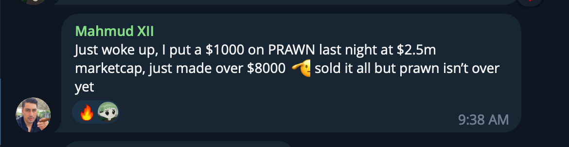 A screenshot of a message in a chat app with a dark background. The message is from Mahmud XII, expressing excitement about investing in PRAWN stocks and making a profit. The message includes emojis of a fire and a green-haired character with a mask.