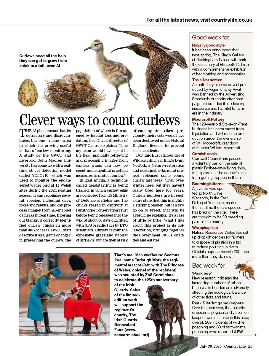 COUNTRY LIFE, JULY 30