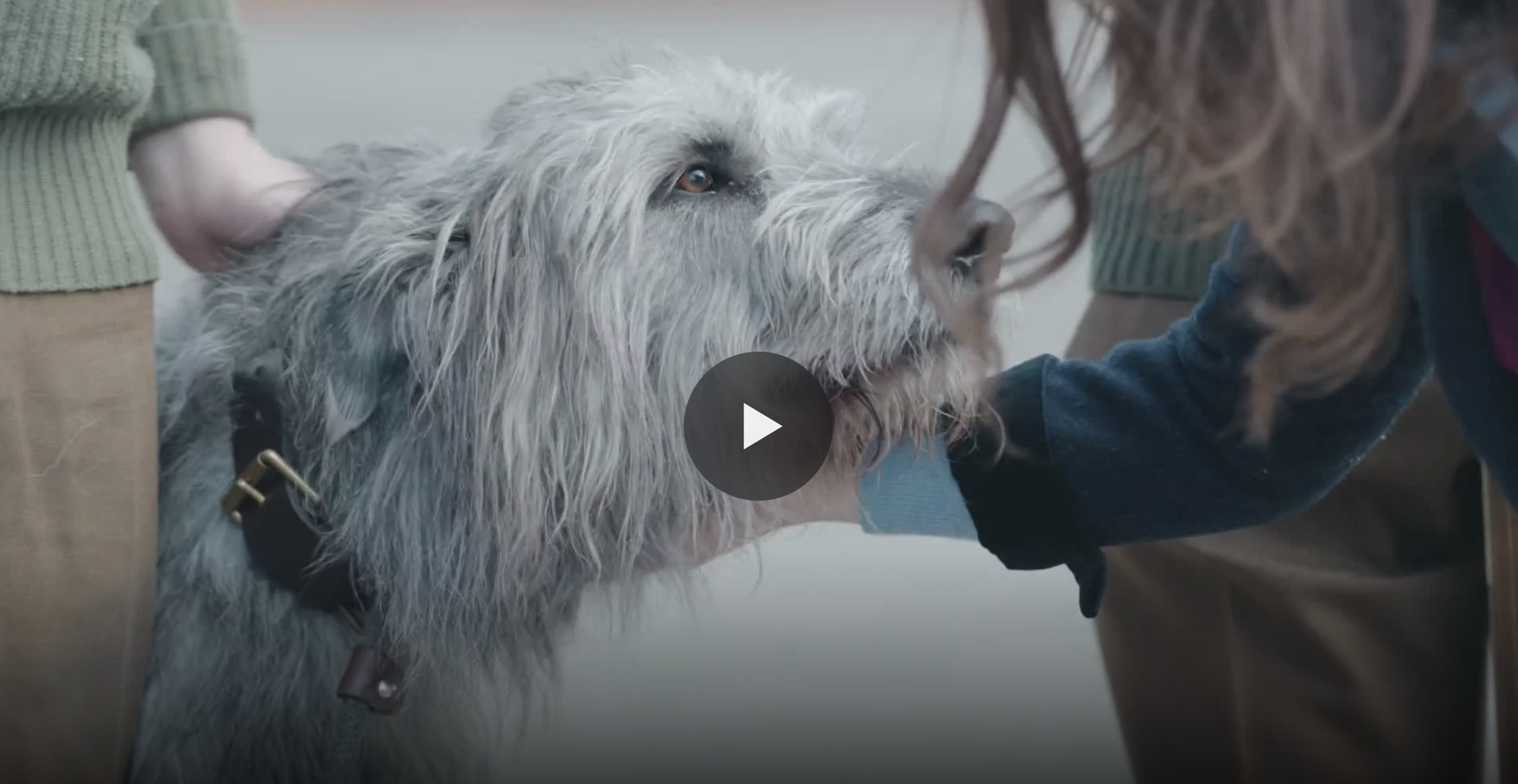 THE MAKING OF SEAMUS