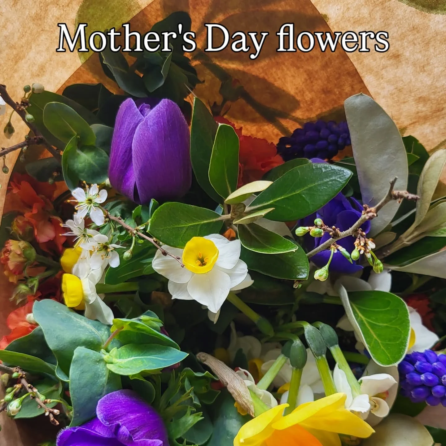 NOW SOLD OUT (we will update any last minute availability) Our first flowers of the season will be ready for Mother's Day! Bouquets will be available for collection from the farm or local delivery. Message to place an order.