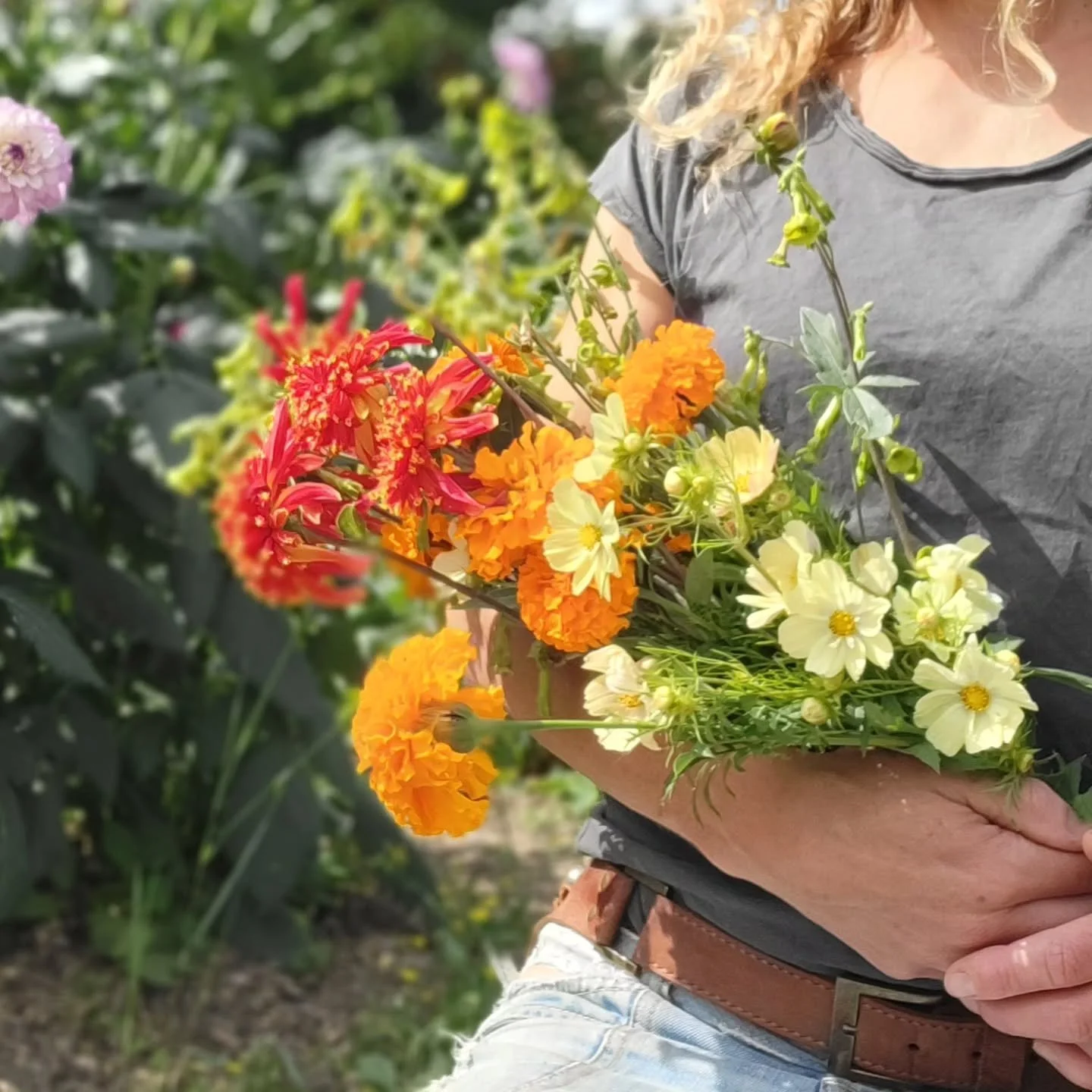 Our bouquet workshops are proving popular! We have added another date, 20th September 3pm &pound;25 per person. There are only 2 spaces left so get in touch if you would like to book.