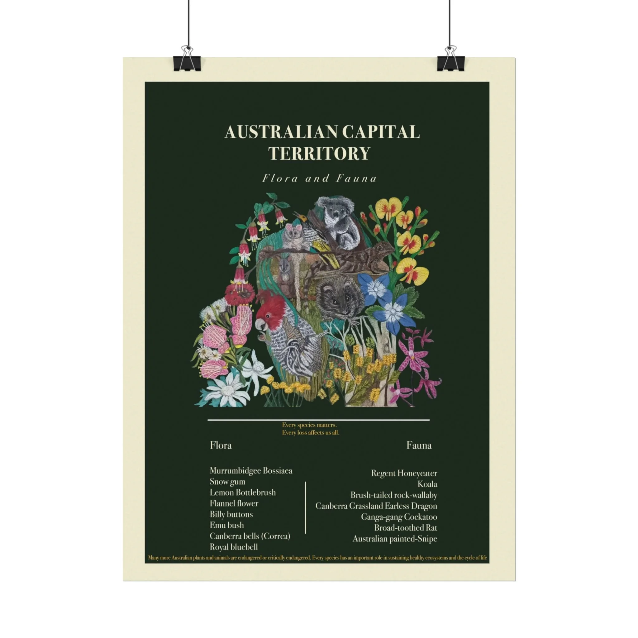 Australian Capital Territory Flora and Fauna Poster — Textured Watercolor Matte Print