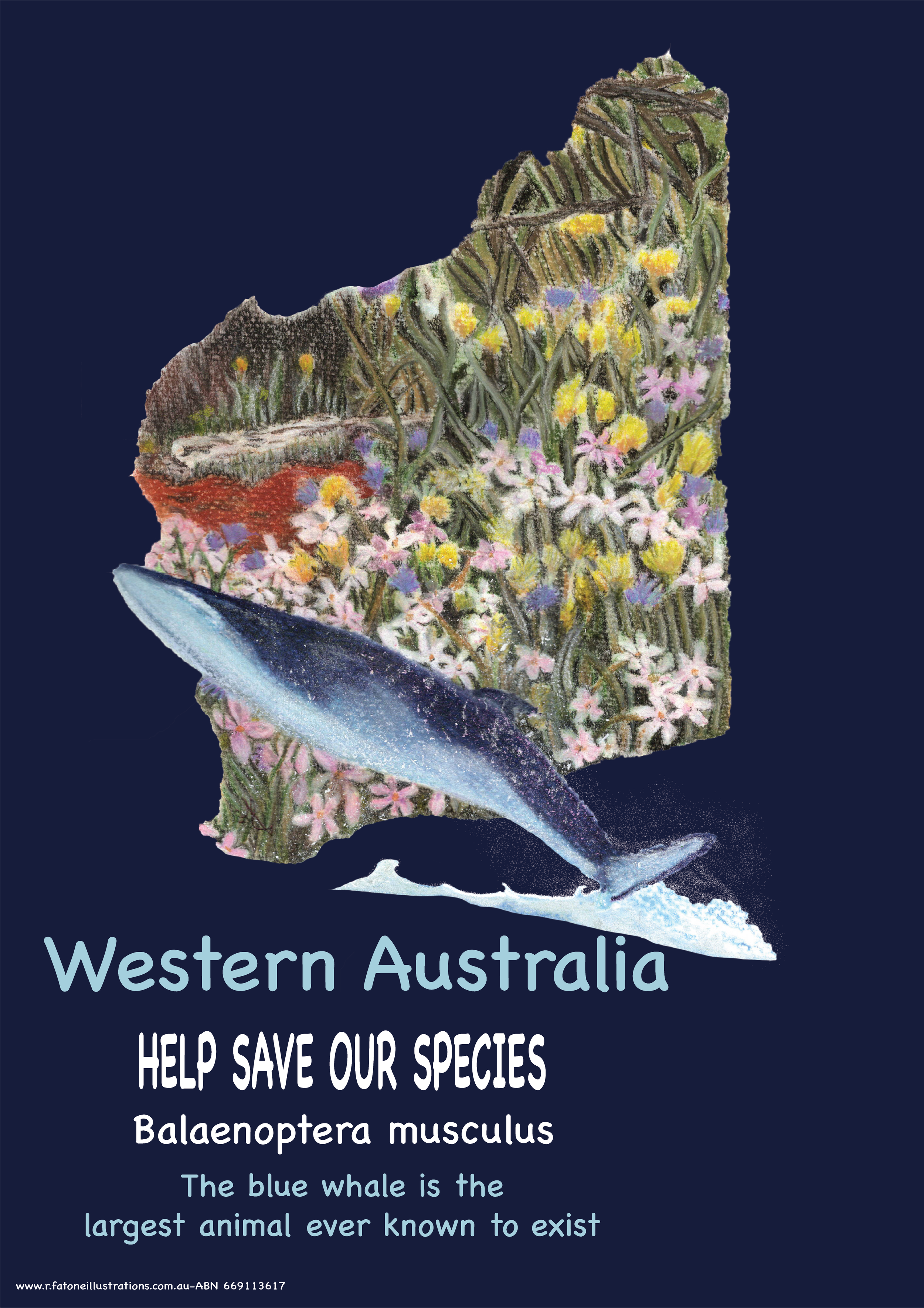 WA Whale.png