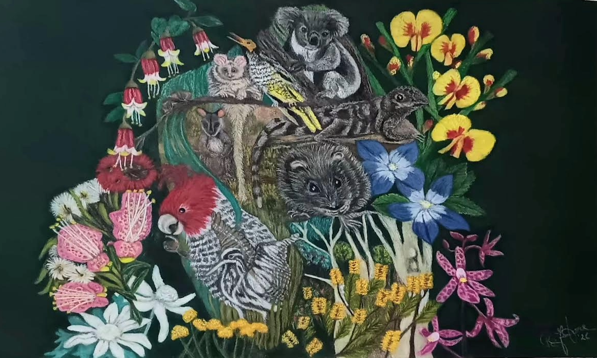 Australian Capital Territory 2.Showing various endangered species of the State. Drawing created in soft Pastel on A2 Stonehenge paper