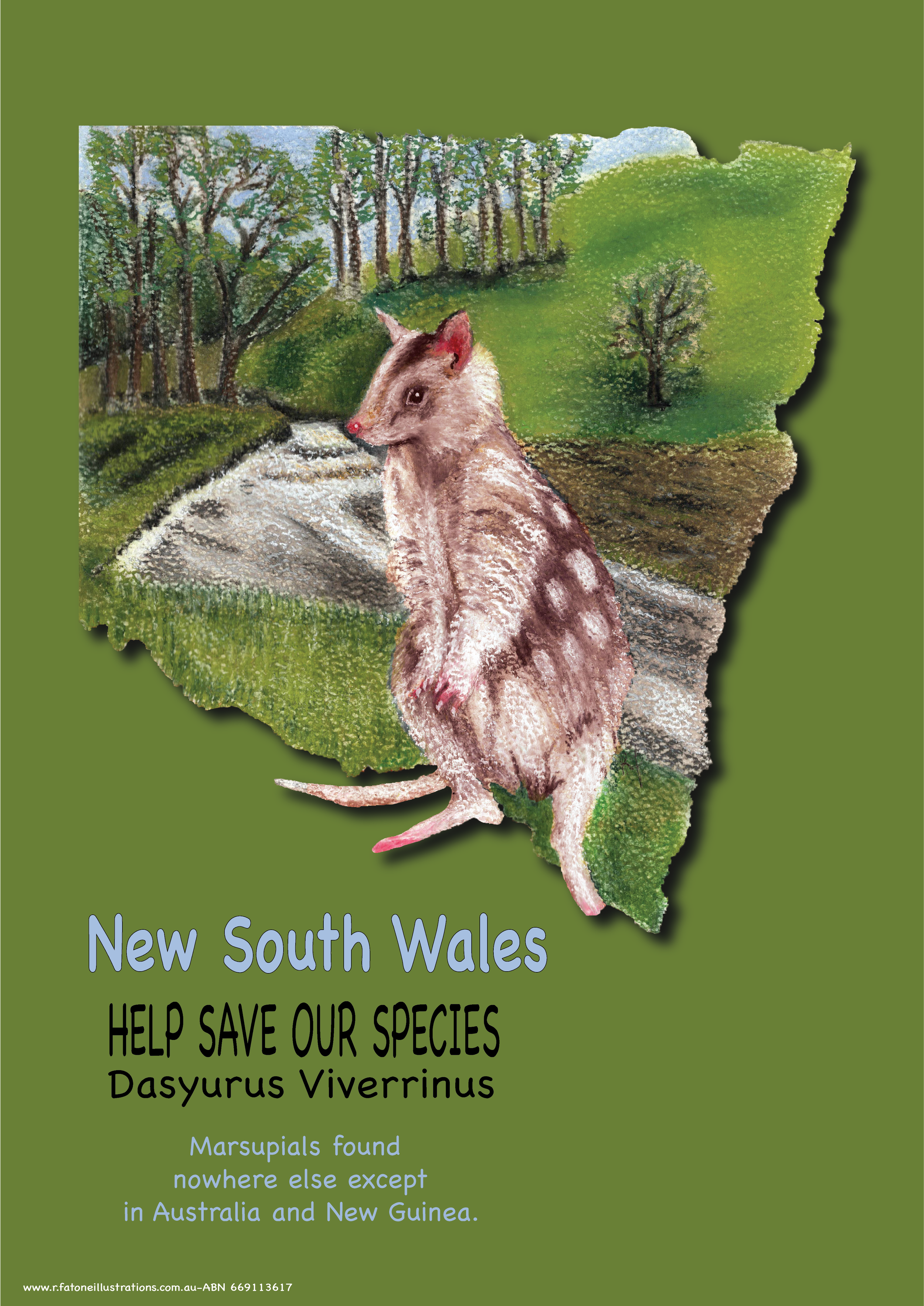 NSW Quoll.png