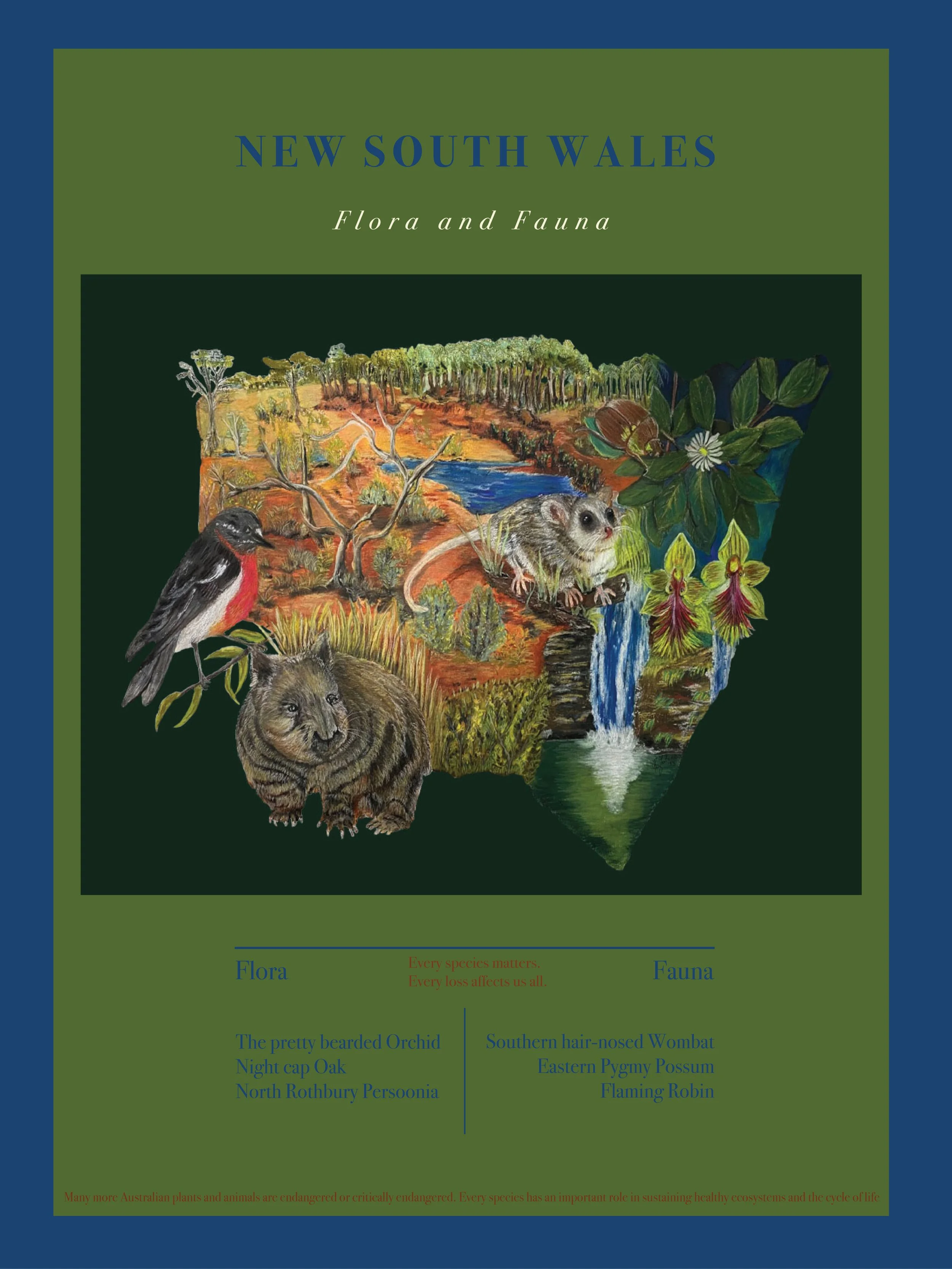 'New South Wales2 Flora and Fauna' featuring an illustration of a landscape with text emphasising the importance of species conservation. Printed on watercolour paper.