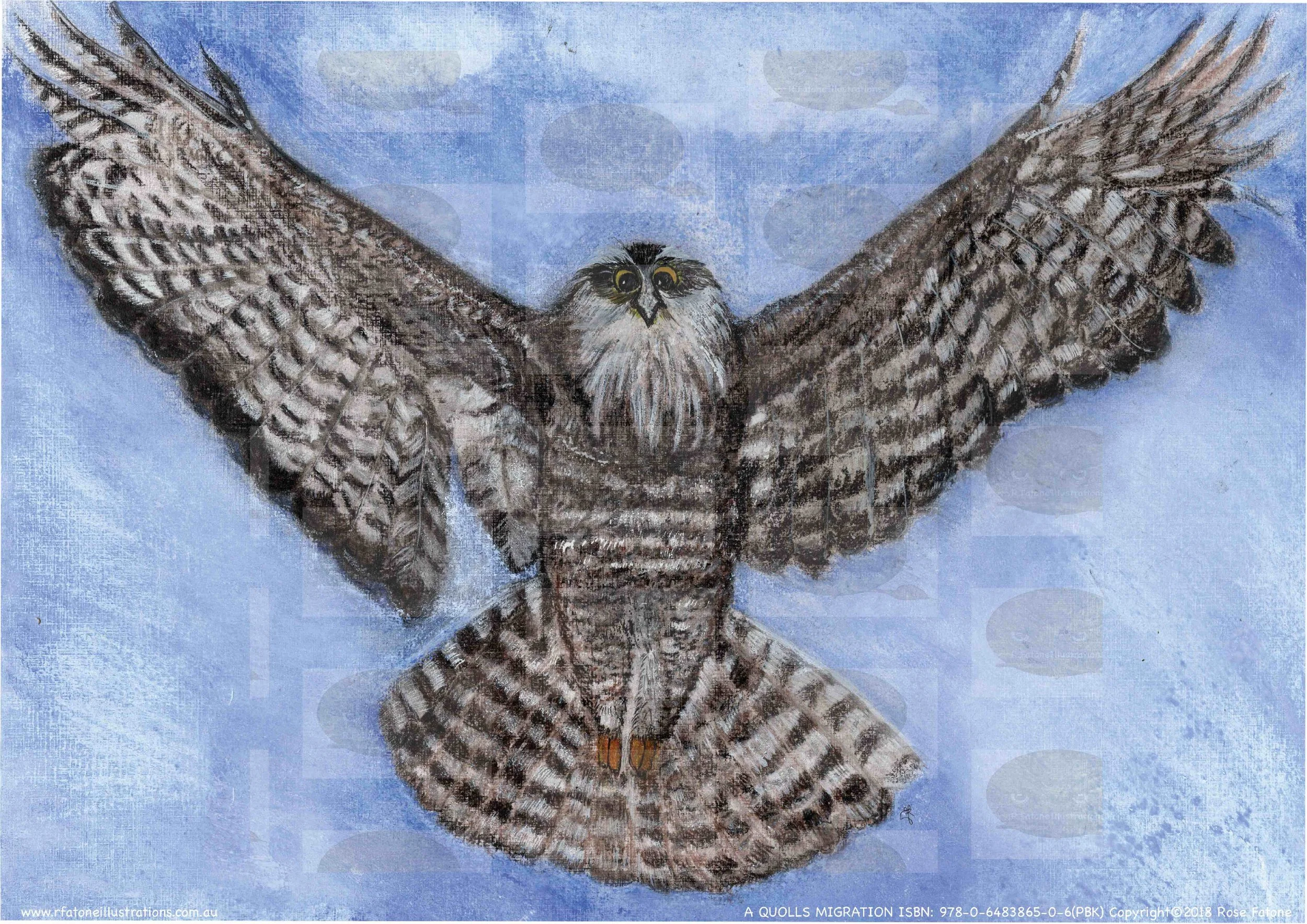 guiding Powerful Owl