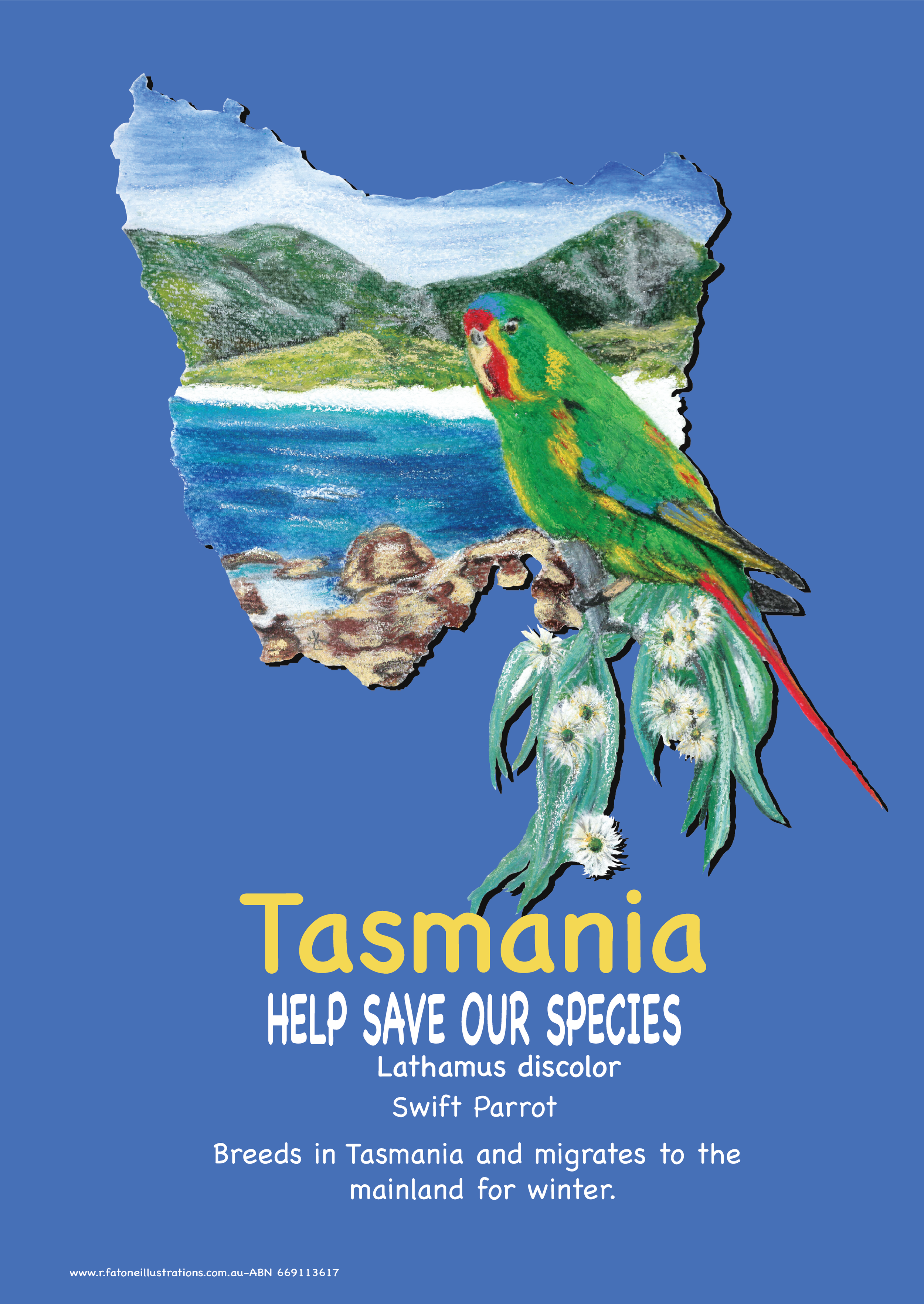 Tas swift parrot.png