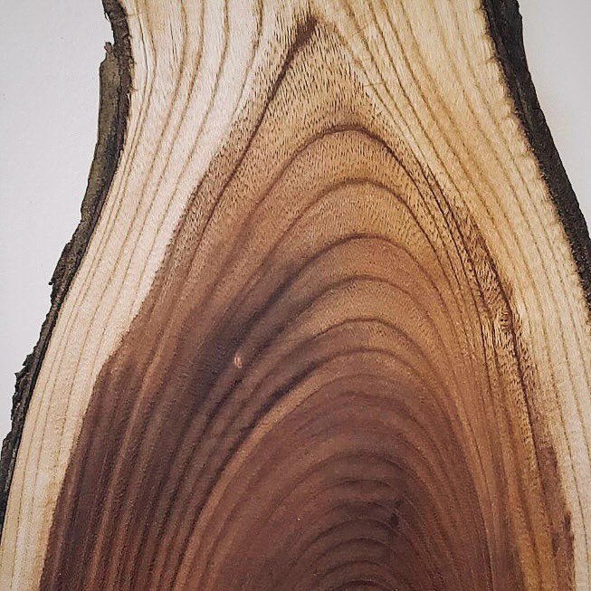 🌲 We recently visited 📍Sk&oacute;gr&aelig;ktarf&eacute;lag Reykjav&iacute;kur which works &ldquo;towards reforesting and promoting the diverse ecological and cultural benefits of forests. The non governmental organization was first founded in 1901 