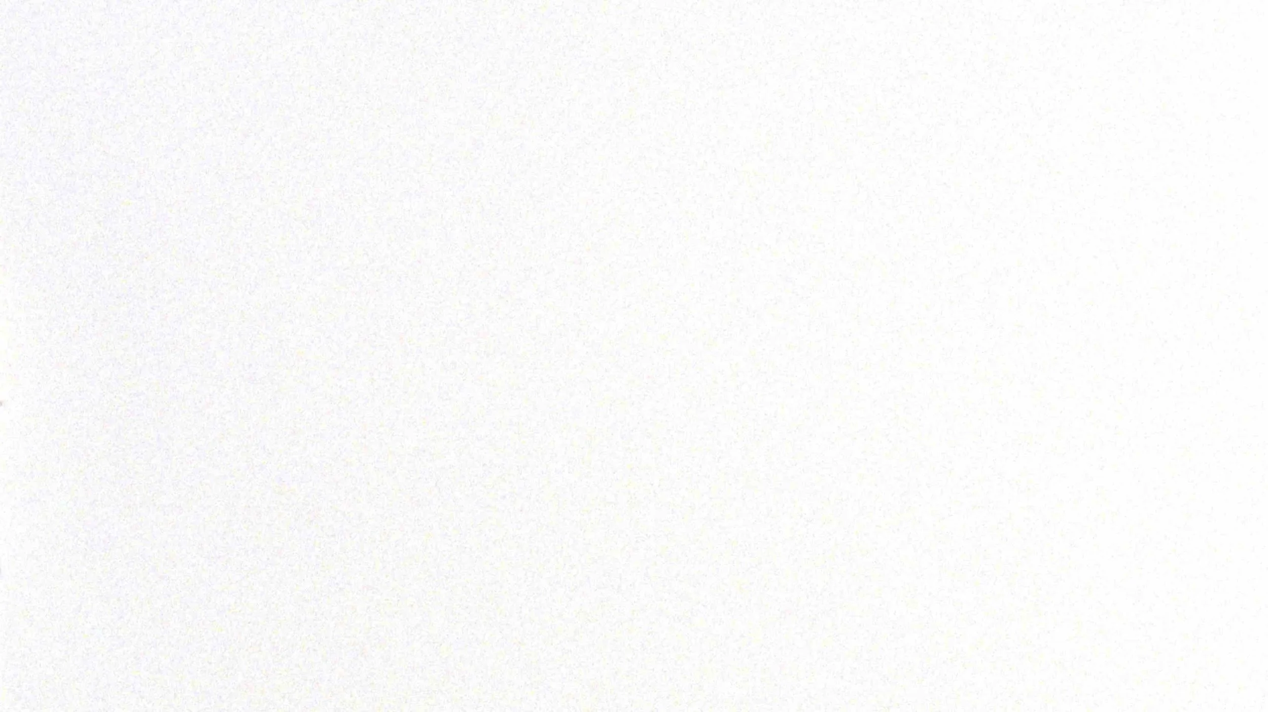 FALLBACK IMAGE WHITE NOISE LOW RES.jpg