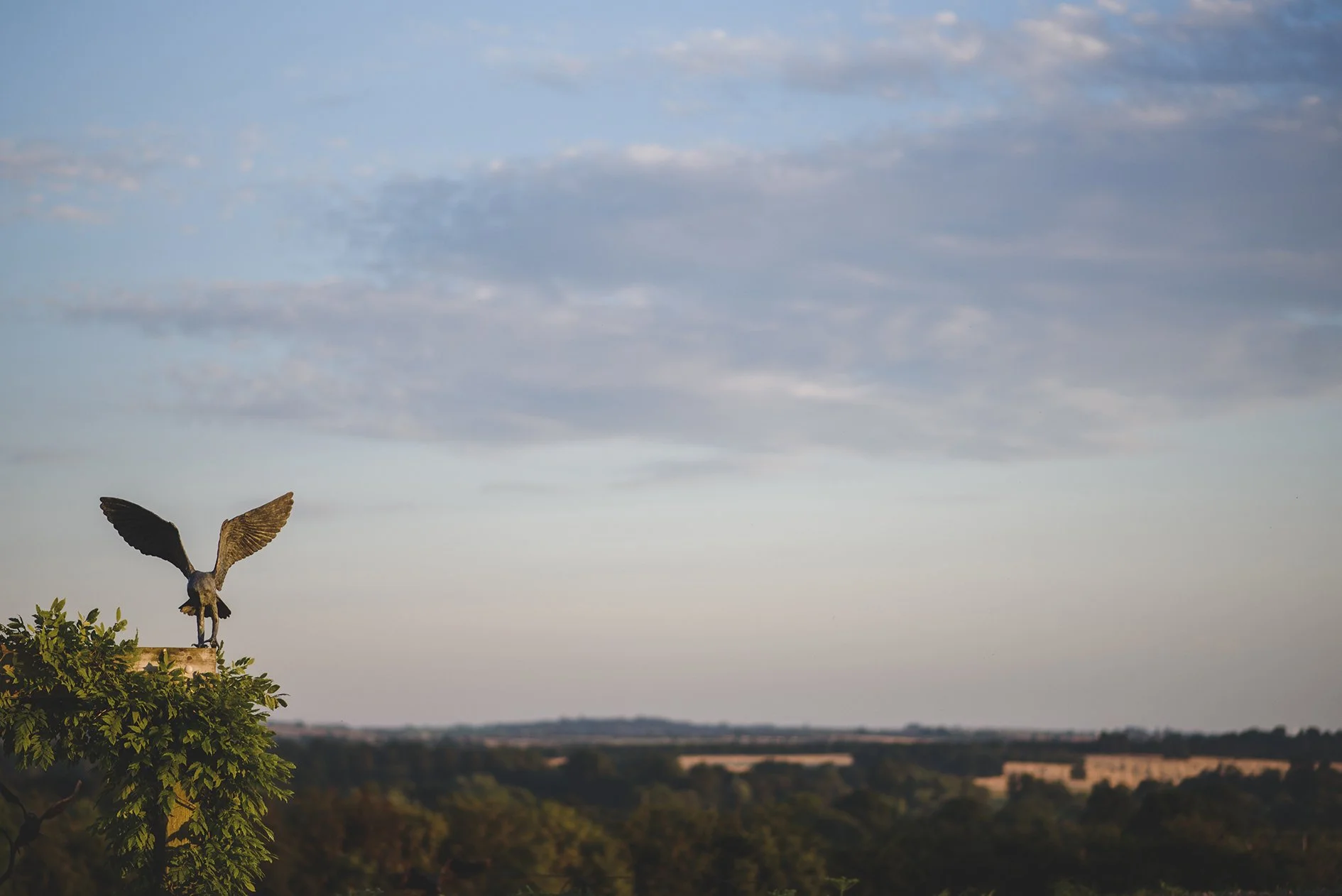 Barn Owl Landing Sculpture by Lloyd Le Blanc.jpg