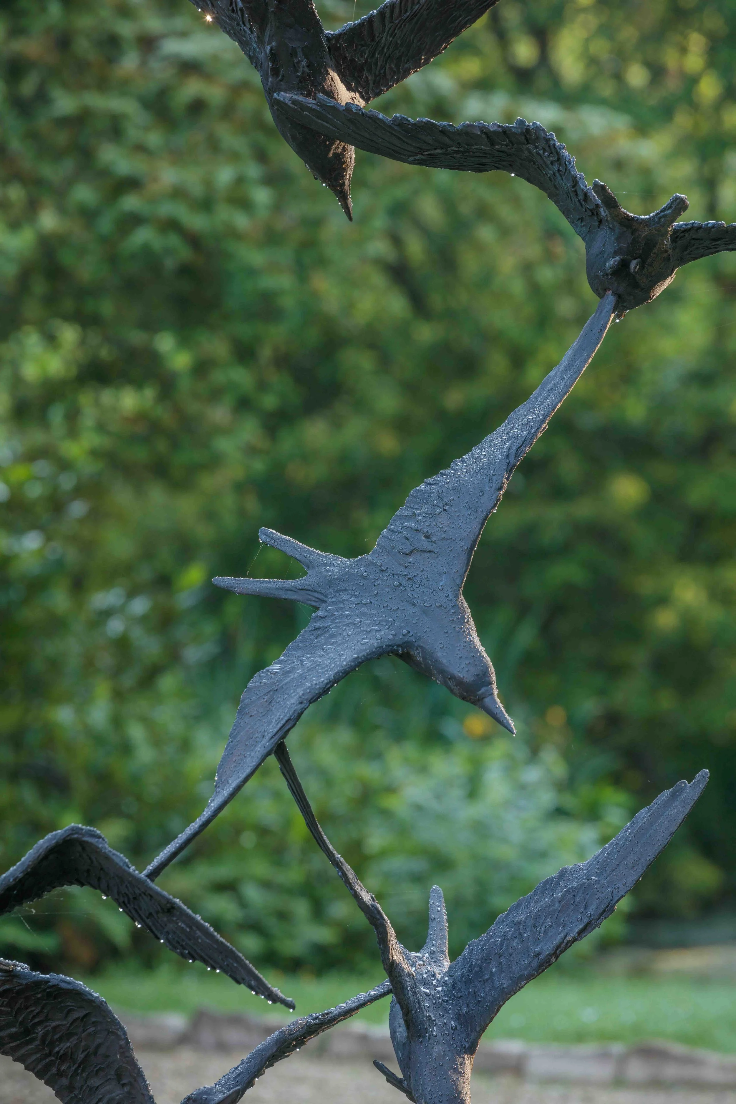 LLB 214 Flock of 29 Terns QS 001_CN24lorez.jpg