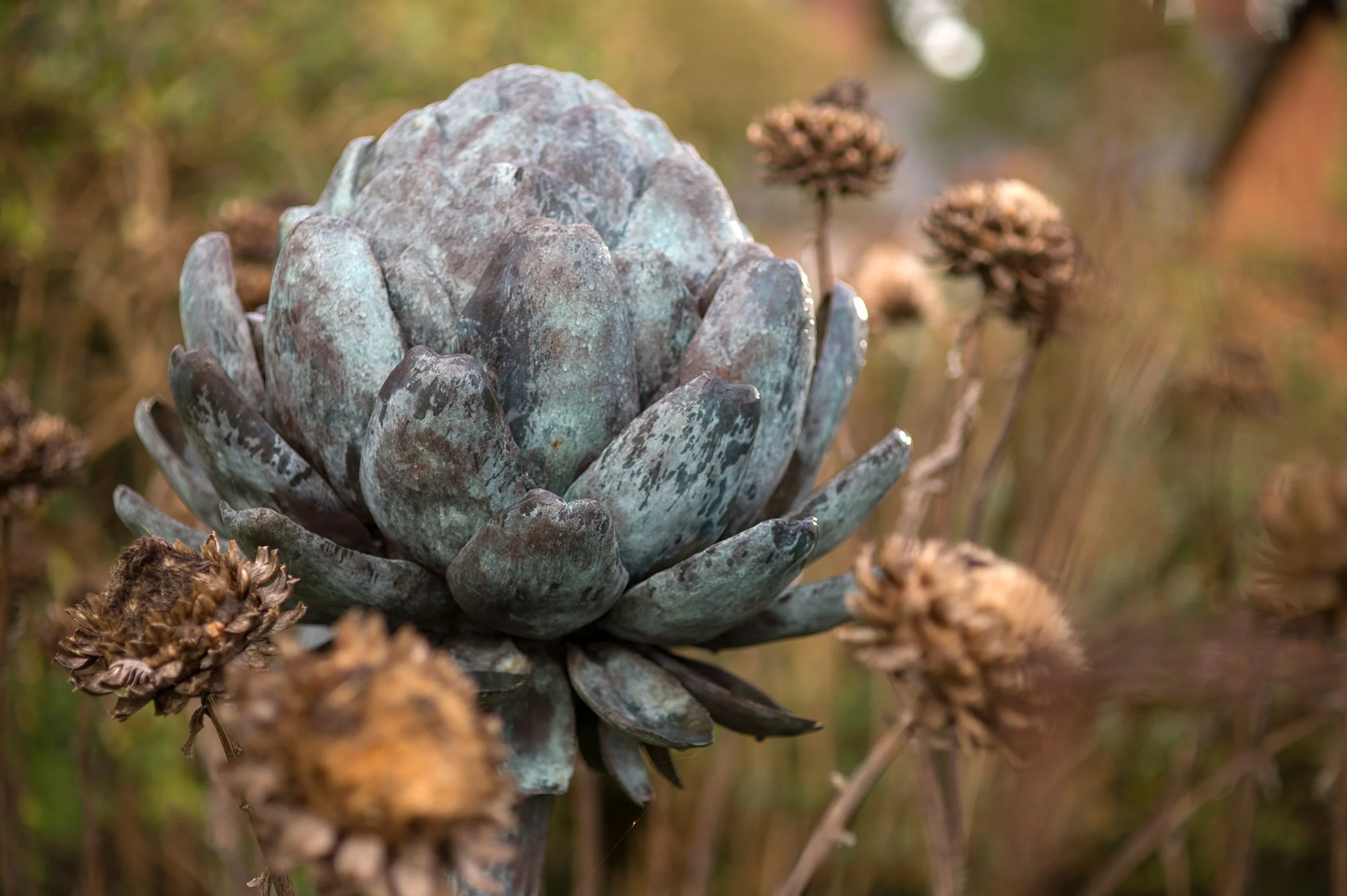 LLB 439 Artichoke V 01_JM_LR.jpg