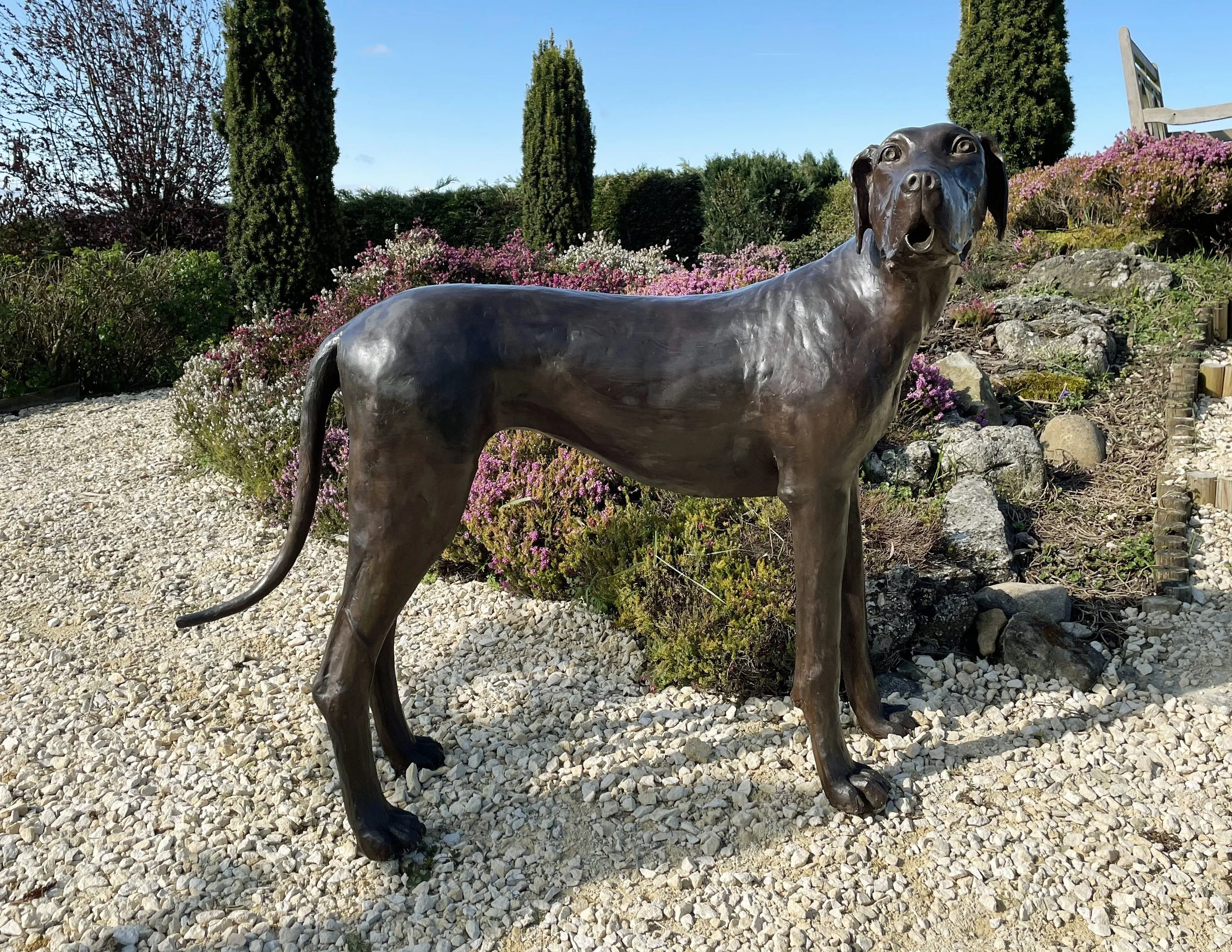 LLB 363 Great Dane 01_LR.jpg