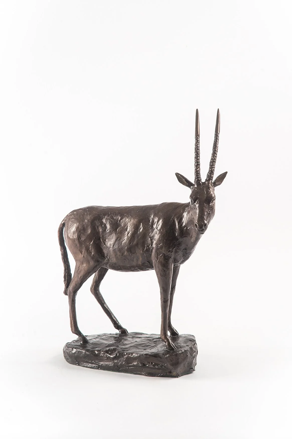 bronze-sculpture-oryx-studies-04.jpg