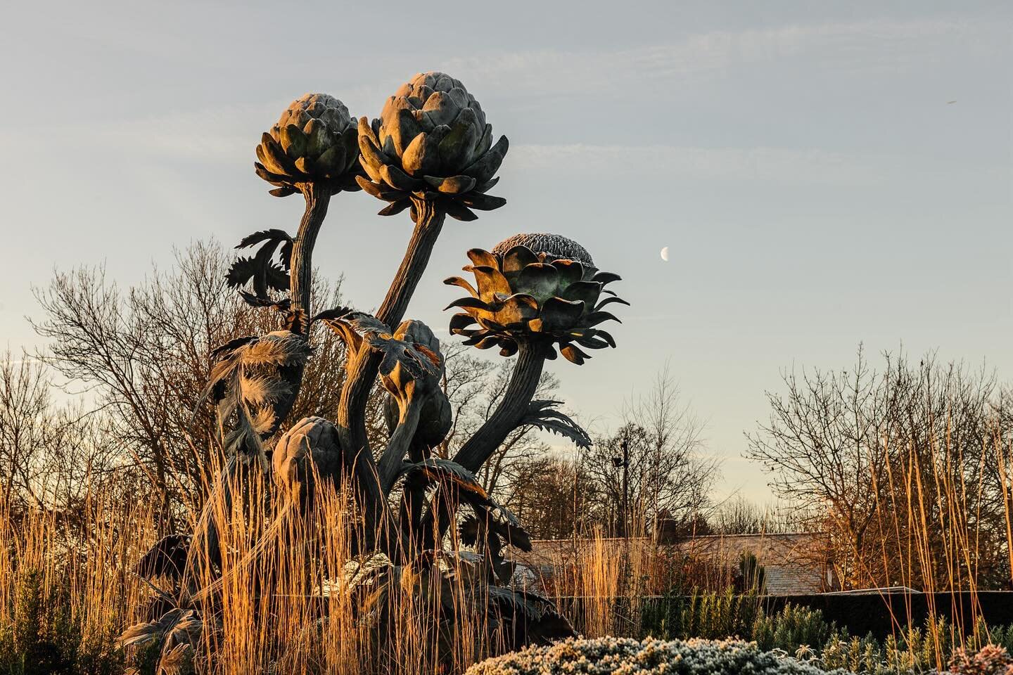 Les Artichauts by Lloyd Le Blanc

Raymond Blanc commissioned us to make the silver-grey leaved artichokes as a magnificent celebration of art and glorious food. The sculpture is just under 4 metres and is at the entrance to Le Manoir aux Quat&rsquo;S