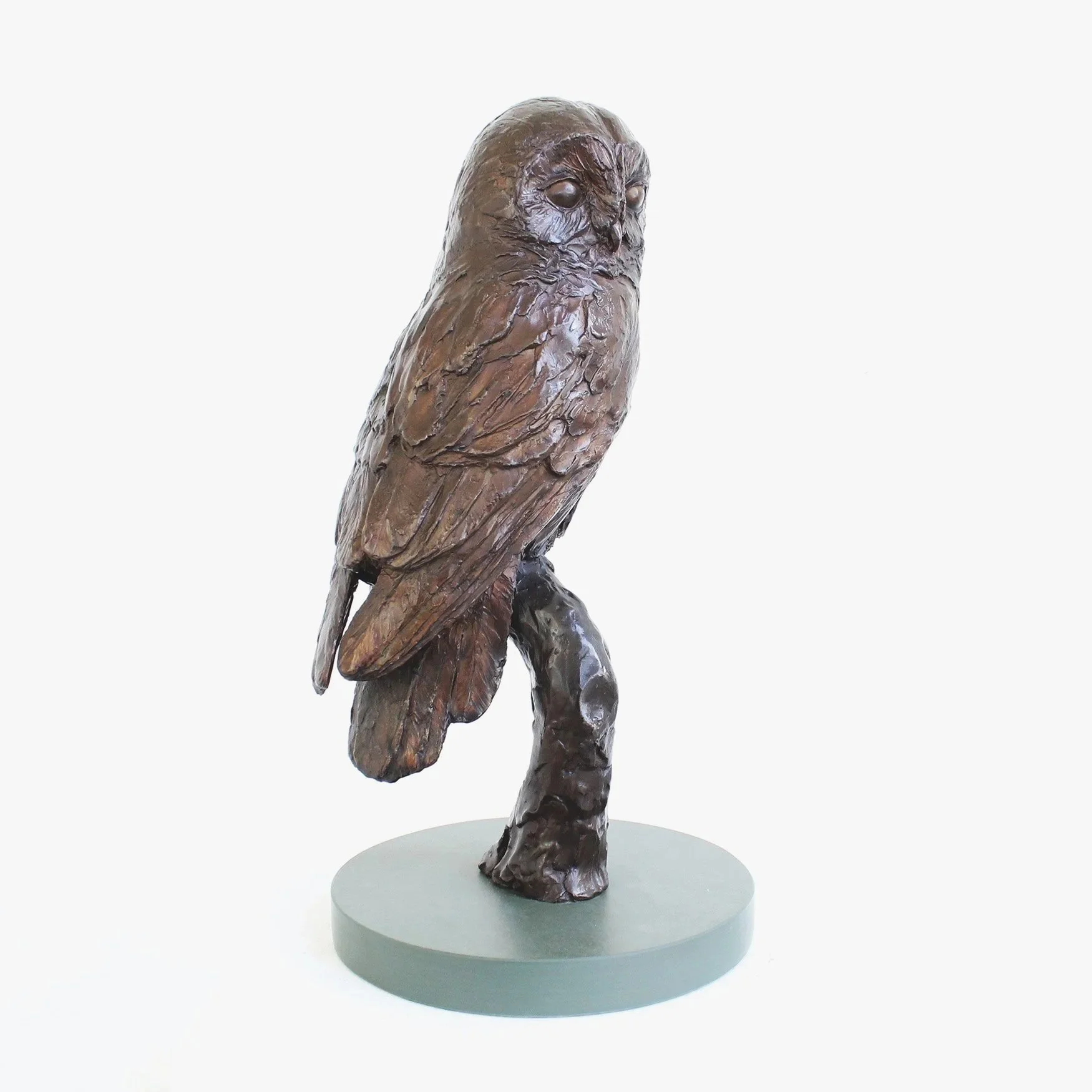 barn-owl-resting-bronze-sculpture-v03.jpg