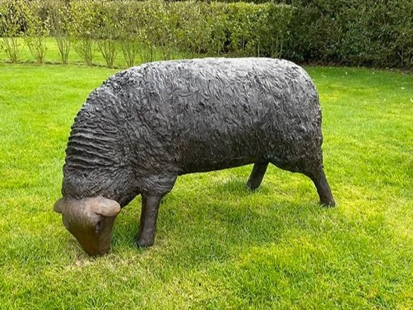 Sheep+grazing_LR.jpg