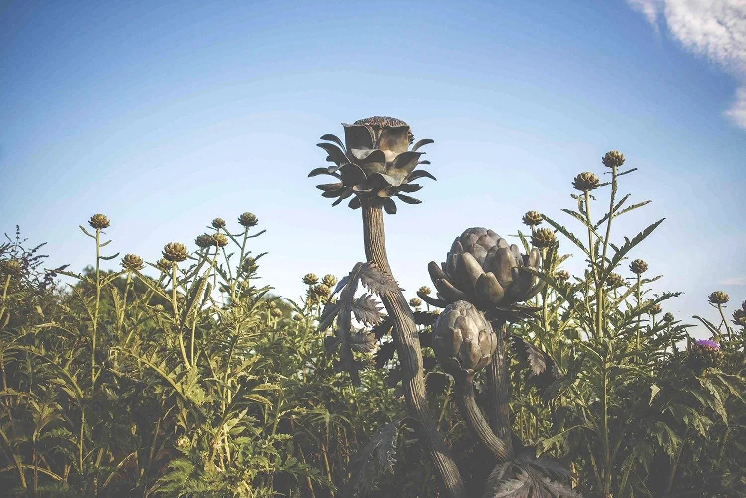 bronze-sculpture-artichokes-composition-II-01.jpg