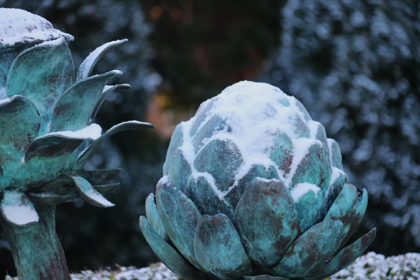 Sculpture garden today in the snow
Artichokes 
Osprey catching a fish
Early morning scarecrow
By Lloyd le blanc 
#bronzesculpture 
#gardensculpture