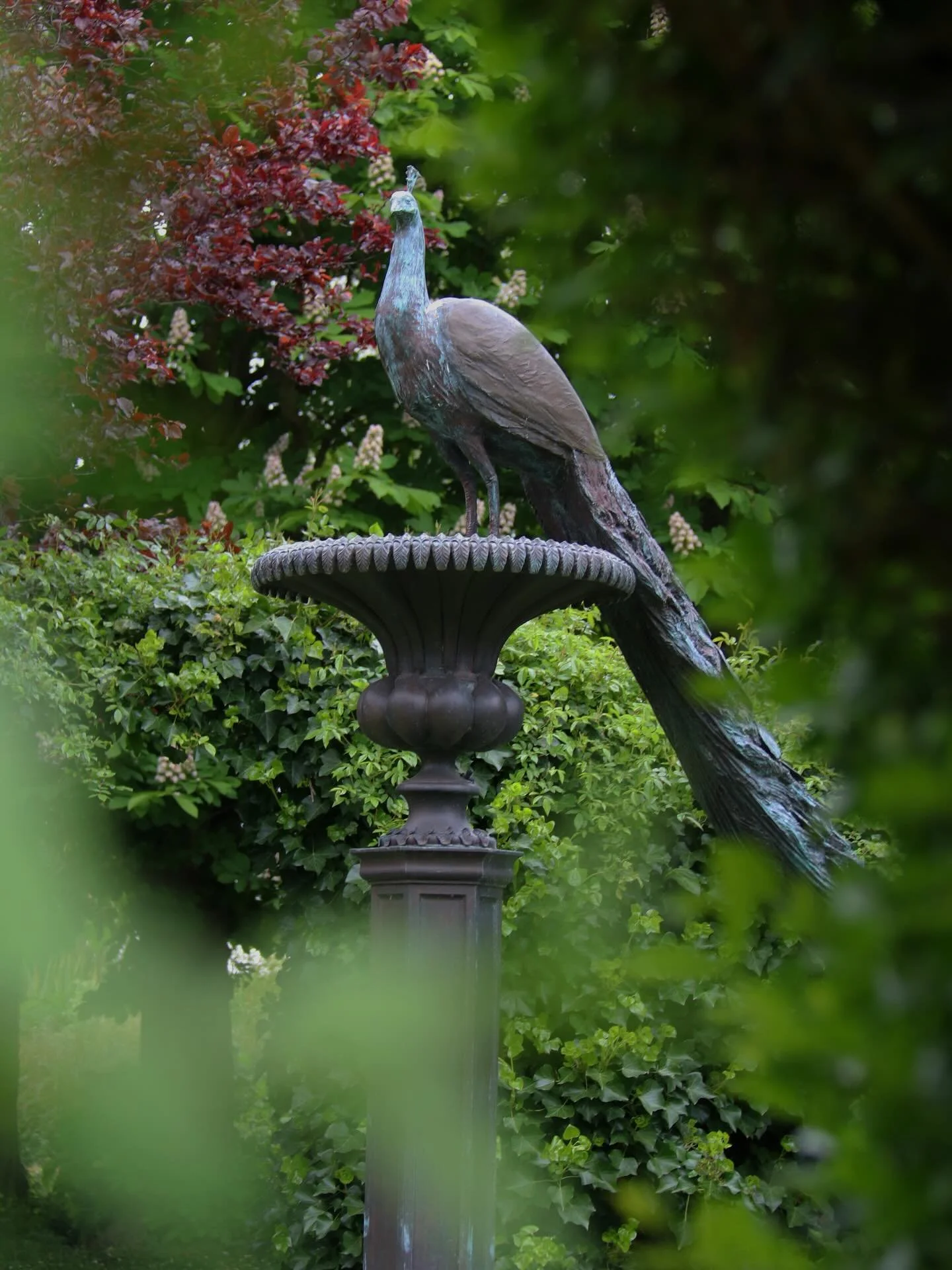 &lsquo;Peacock&rsquo; by Lloyd Le Blanc, proudly standing tall. 

We&rsquo;ve been wandering through our sculpture garden more now that spring has arrived (although it feels like summer!). We love it when you catch a glimpse of a sculpture from a new