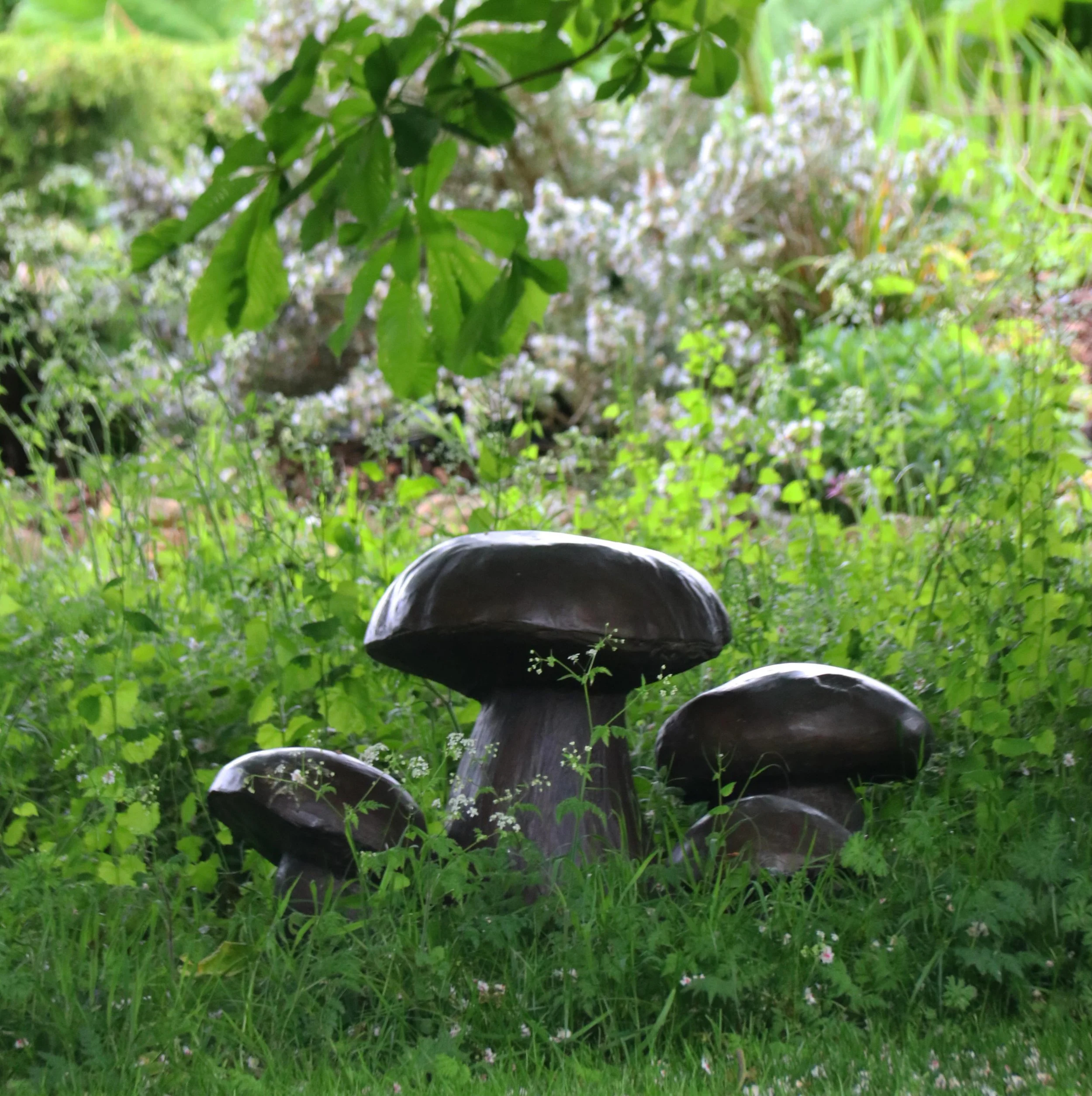 Cep Mushrooms by Lloyd Le Blanc looking majestic nestled among the cow parsley.
This has to be one of our favourite times of year in the garden. 

Photographed by Jenna Le Blanc, Lloyd&rsquo;s granddaughter