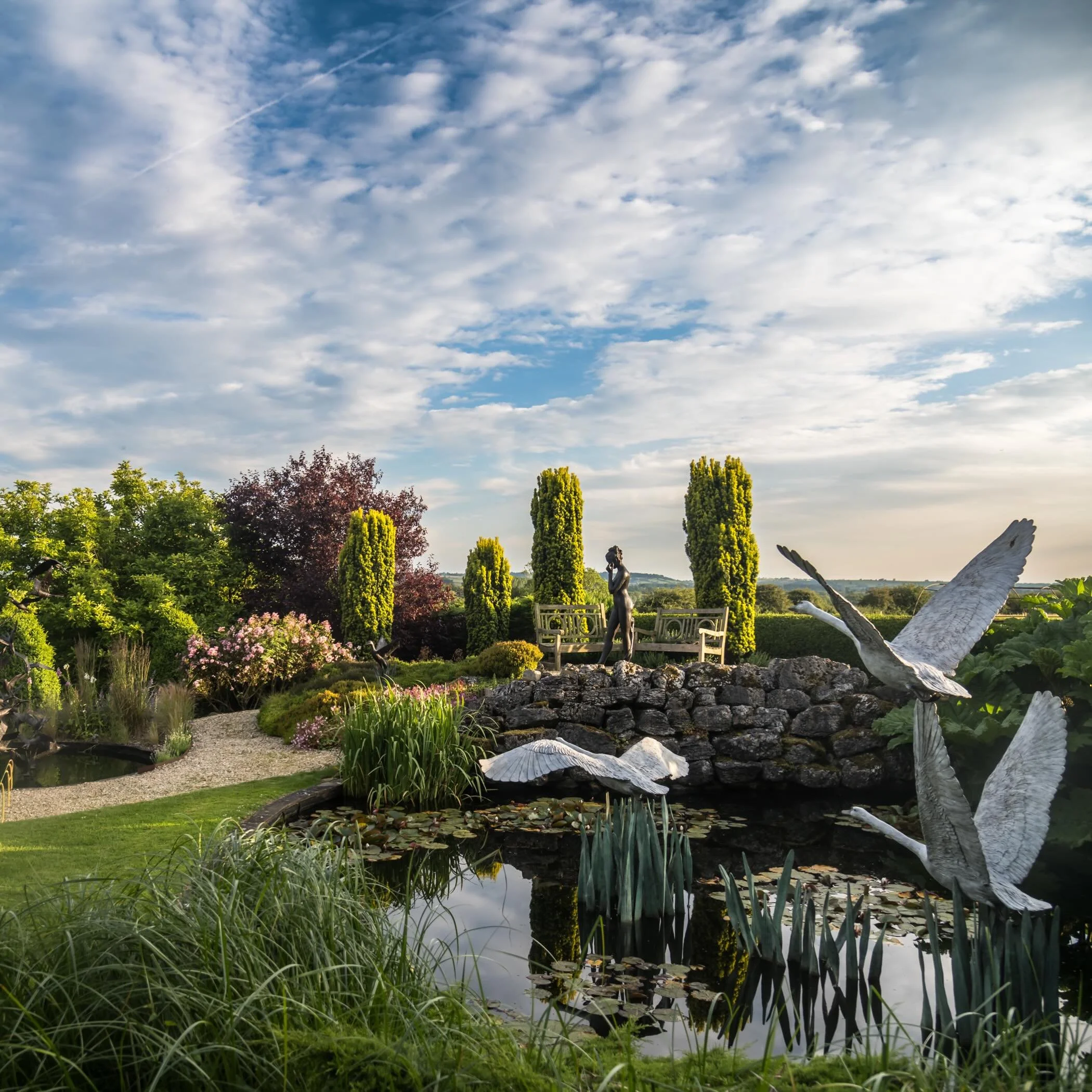 Swans in flight 
by Lloyd Le blanc

Limited edition bronze
Photographed beautifully in a sculpture garden by @jamesmillarphotographer