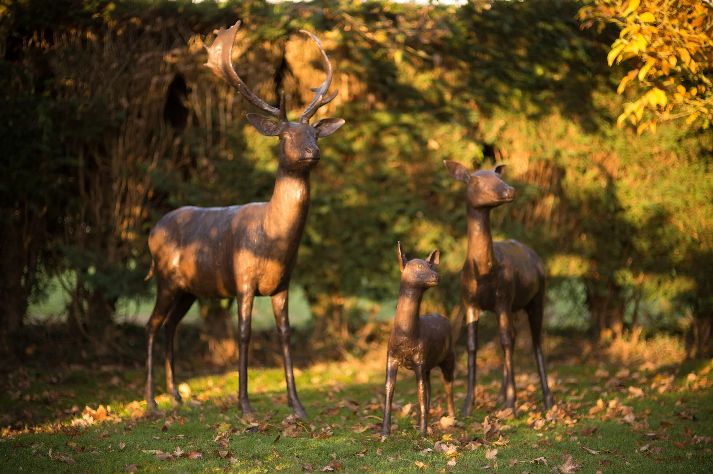 LLB 212 Deer Family 004_JM_LR.jpg
