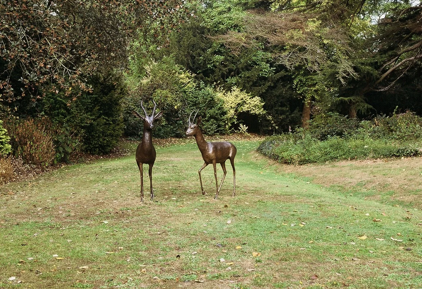 LLB 081 Pair of Gazelle.jpeg