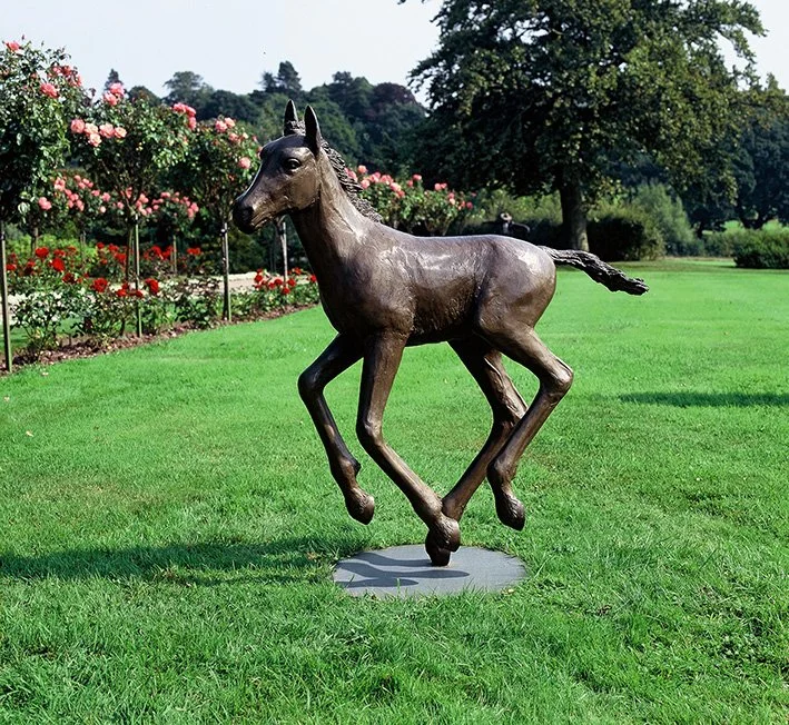 LLB 093 Horse - Foal 06_LR.jpg