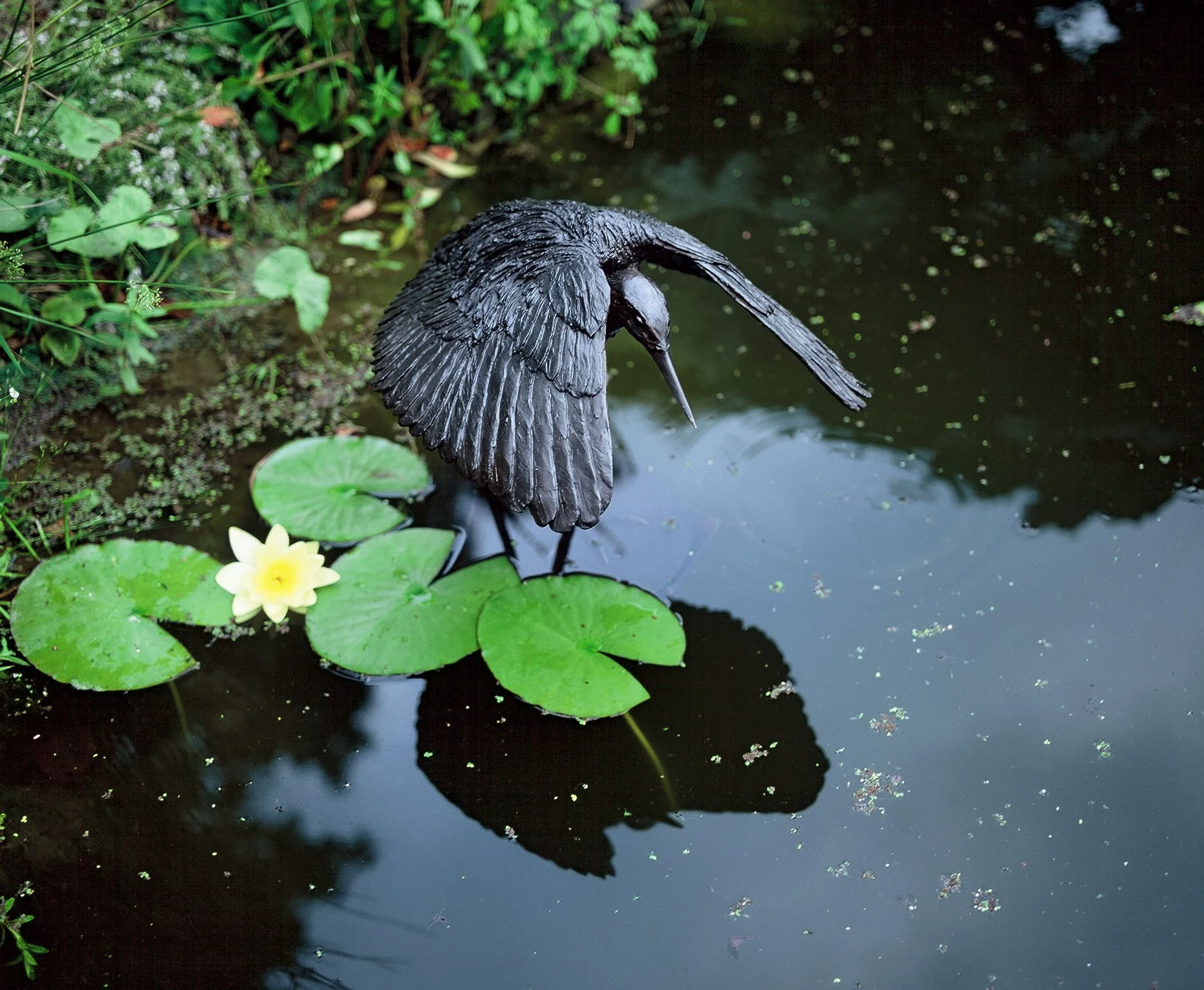 umbrella-bird-bronze-sculpture-v01.jpg