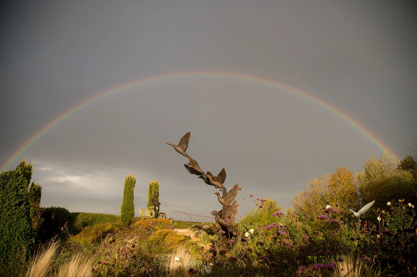LLB 218 12 Mallard Ducks 001_JM_LR.jpg