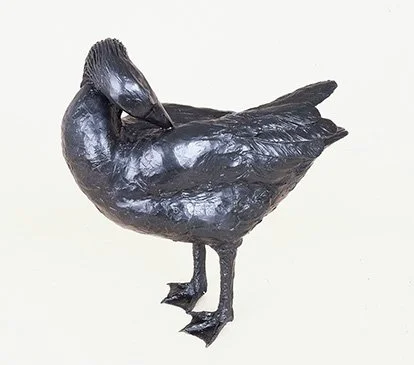 LLB 086 Goose Preening_LR.jpg