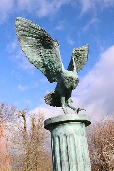 LLB 491 Barn Owl Landing 003_LR.jpg