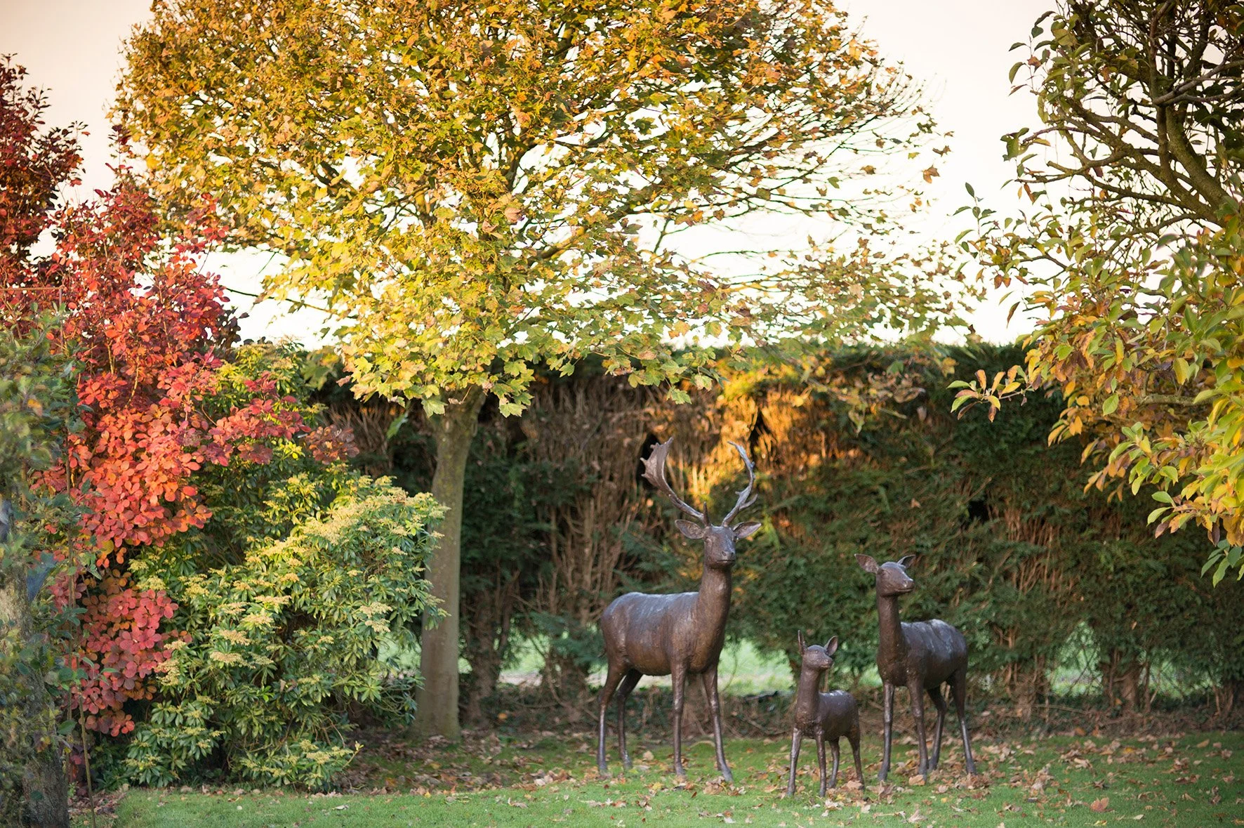 LLB 212 Deer Family 006_JM_LR.jpg