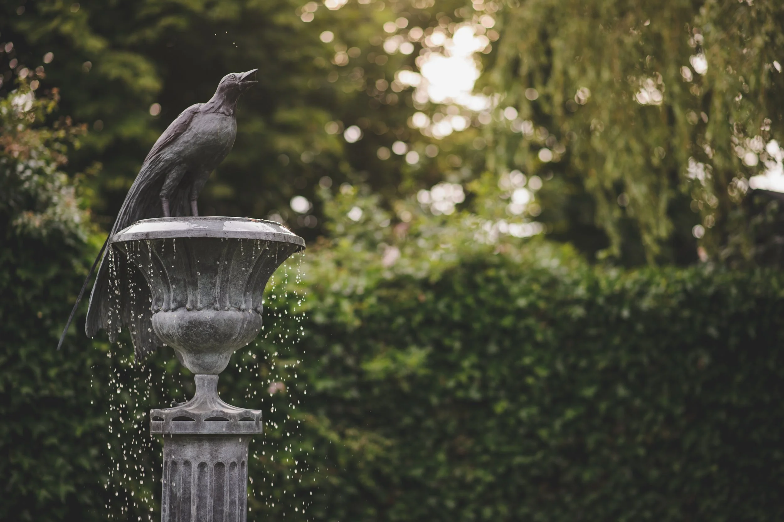 Magnificent Bird of Paradise Fountain by Lloyd LeBlanc.jpg