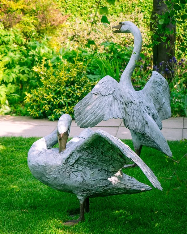 LLB 165 168 Swan Pair 001_FY25_LR.jpg