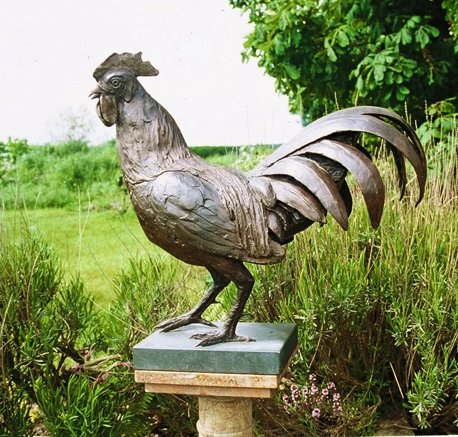 145 Rooster Situ..jpeg