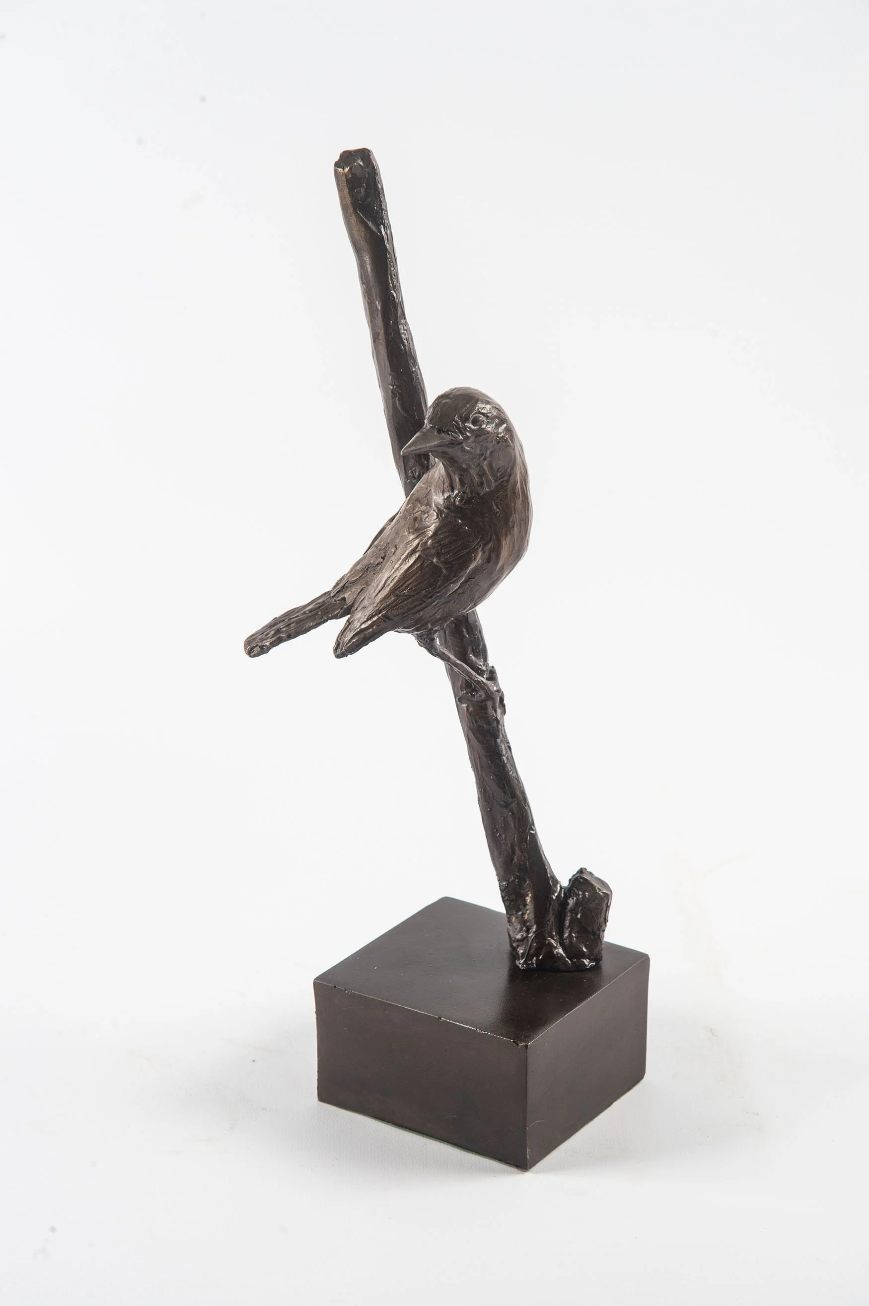arctic-song-bird-bronze-sculpture-v02.jpg